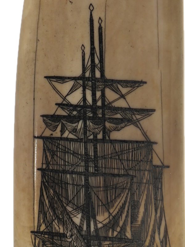 Mark Edgar Scrimshaw - Stern View Warship