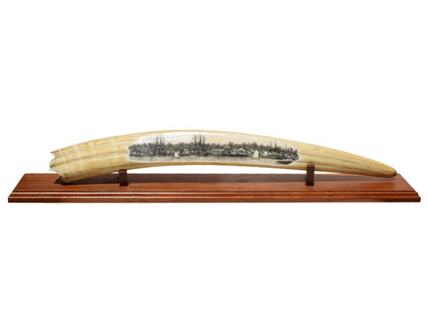 Gerry Dupont Scrimshaw - Mystic Seaport