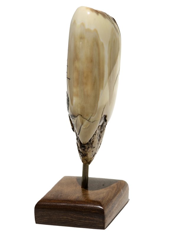 Peter Kinney Scrimshaw - Stern View H.M.S. Victory