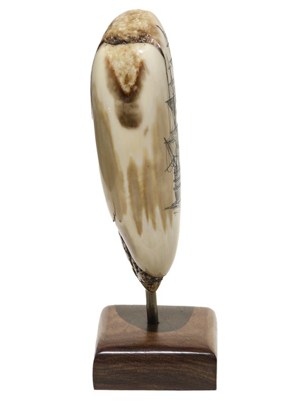 Peter Kinney Scrimshaw - Stern View H.M.S. Victory