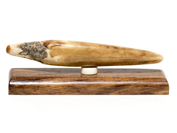 S. Rashidi Scrimshaw - Harpooner Ready to Strike