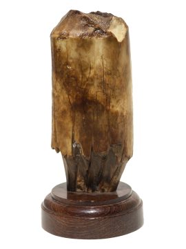 James W Lee Scrimshaw - Ahead of the Storm