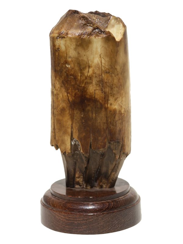 James W Lee Scrimshaw - Ahead of the Storm