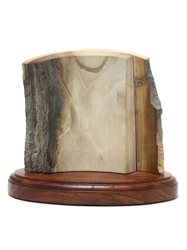On the Rocks - Image 4