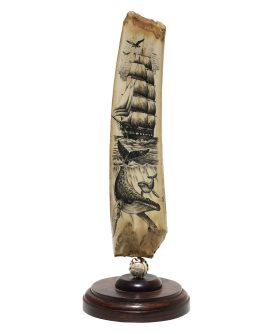 James W Lee Scrimshaw - Humpback Cow and Calf