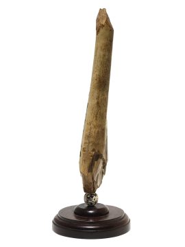 James W Lee Scrimshaw - Humpback Cow and Calf