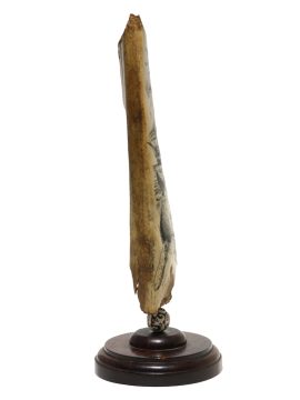 James W Lee Scrimshaw - Humpback Cow and Calf