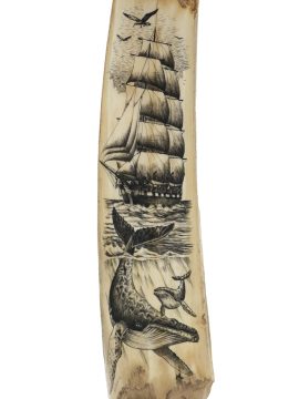 James W Lee Scrimshaw - Humpback Cow and Calf