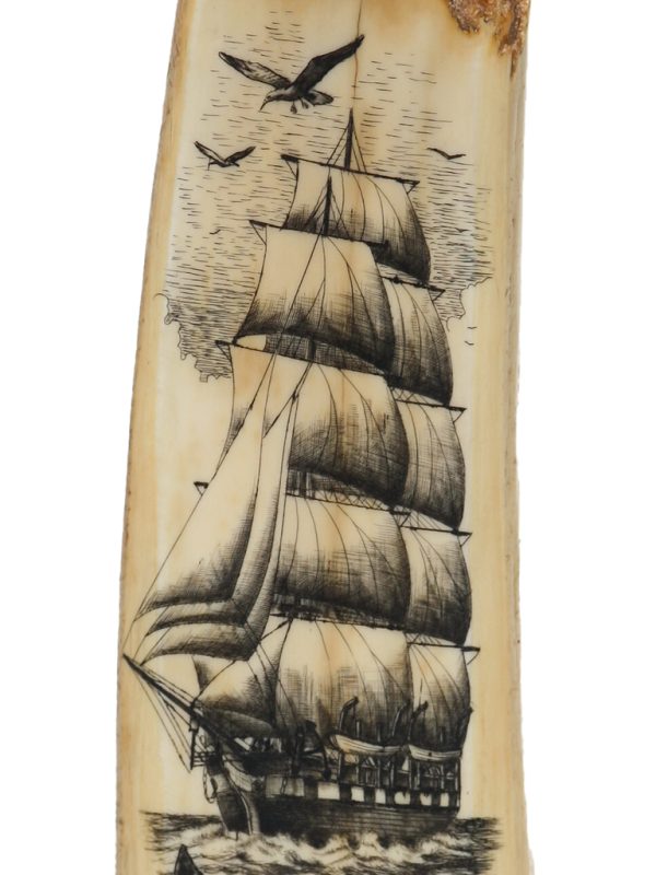 James W Lee Scrimshaw - Humpback Cow and Calf