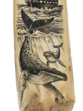 James W Lee Scrimshaw - Humpback Cow and Calf