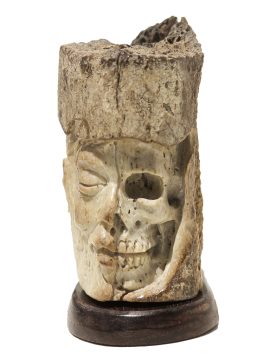 Unknown Carver - Oosik Skull Carving