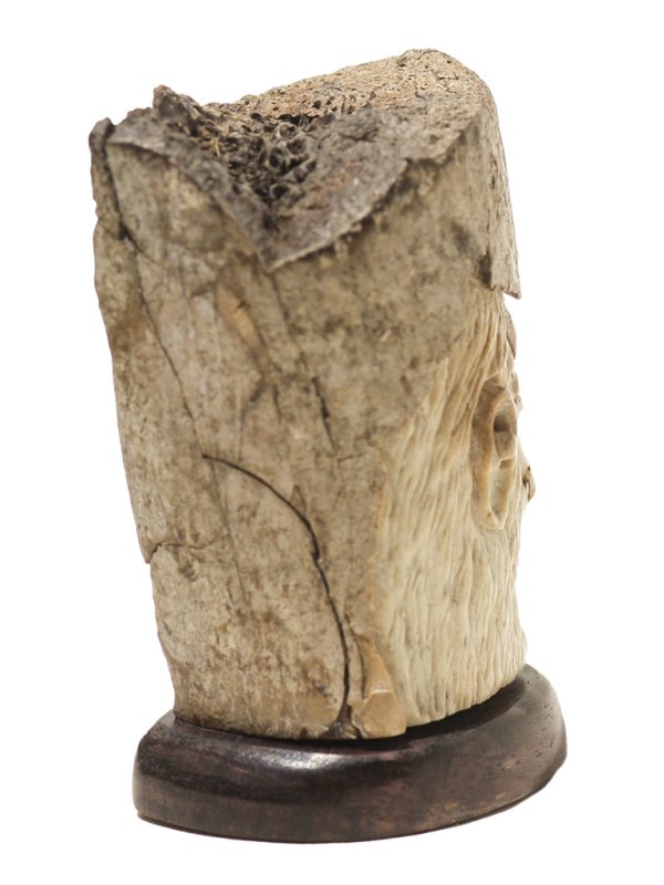Unknown Carver - Oosik Skull Carving