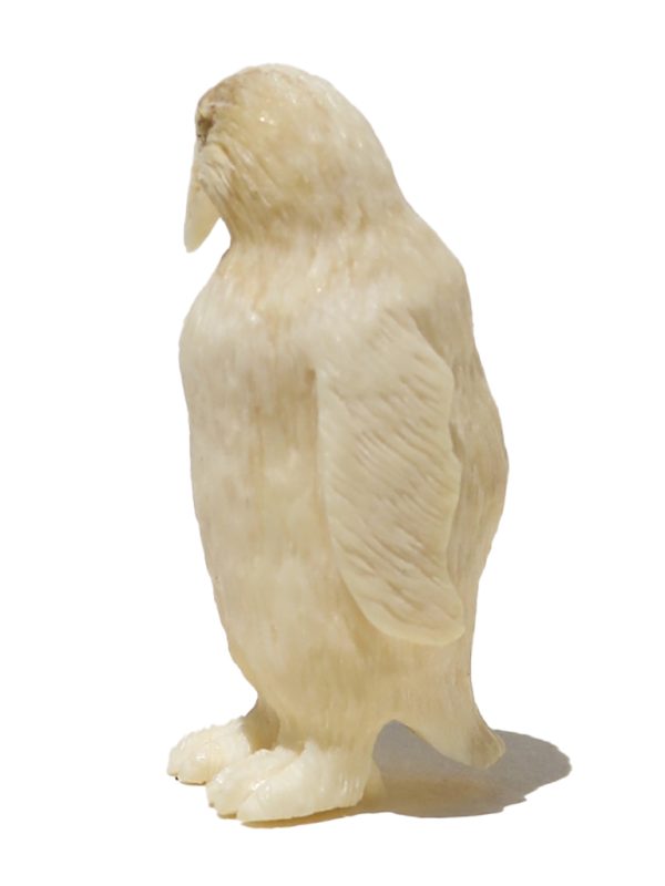 Unknown Carver - Cool Penguin Carving