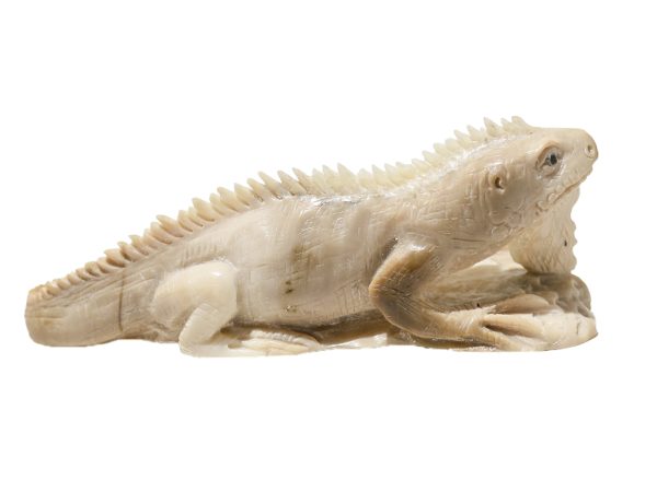 Unknown Carver - Iguana Carving
