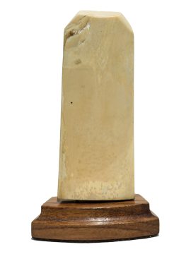 David Admas Scrimshaw - Strong Following Wind