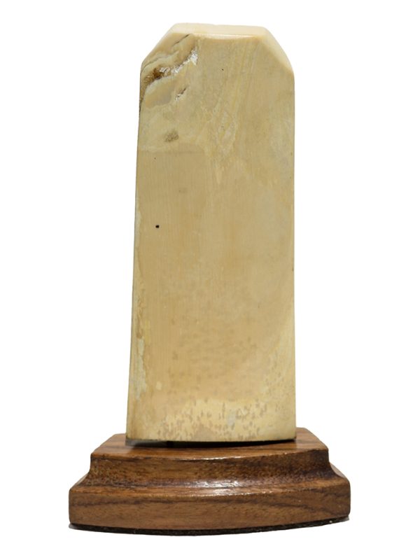 David Admas Scrimshaw - Strong Following Wind
