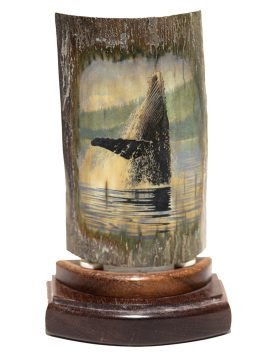 David Adams Scrimshaw - Massive Humpback Whale