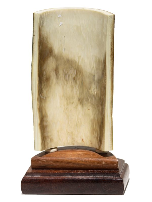 David Adams Scrimshaw - Massive Humpback Whale