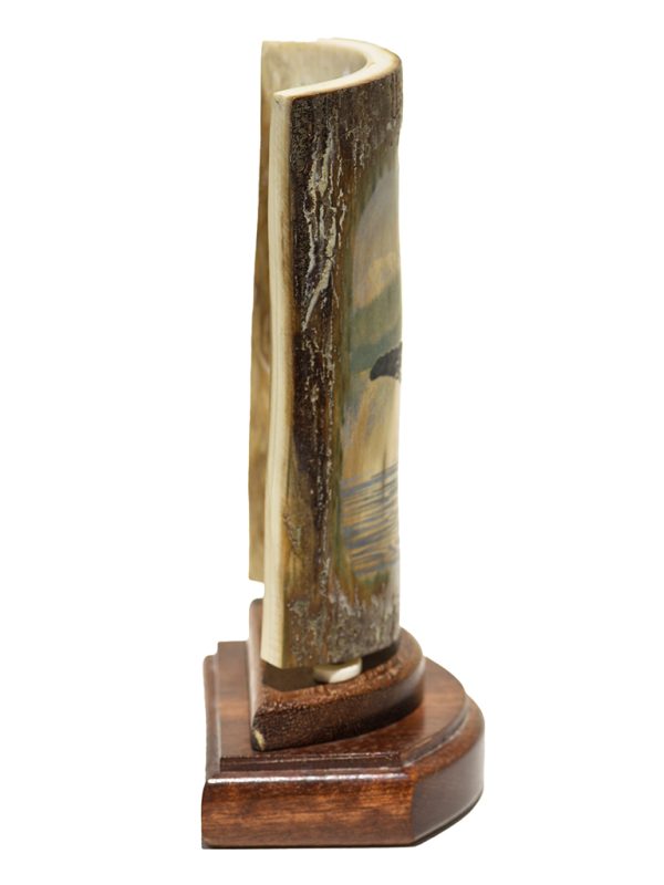 David Adams Scrimshaw - Massive Humpback Whale