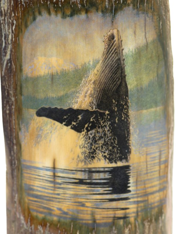 David Adams Scrimshaw - Massive Humpback Whale
