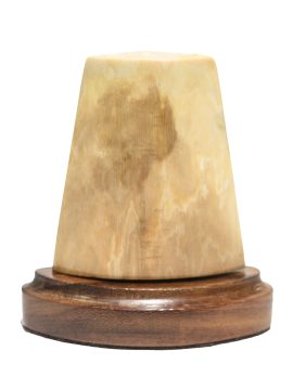 David Adams Scrimshaw - Portrait in Shadows