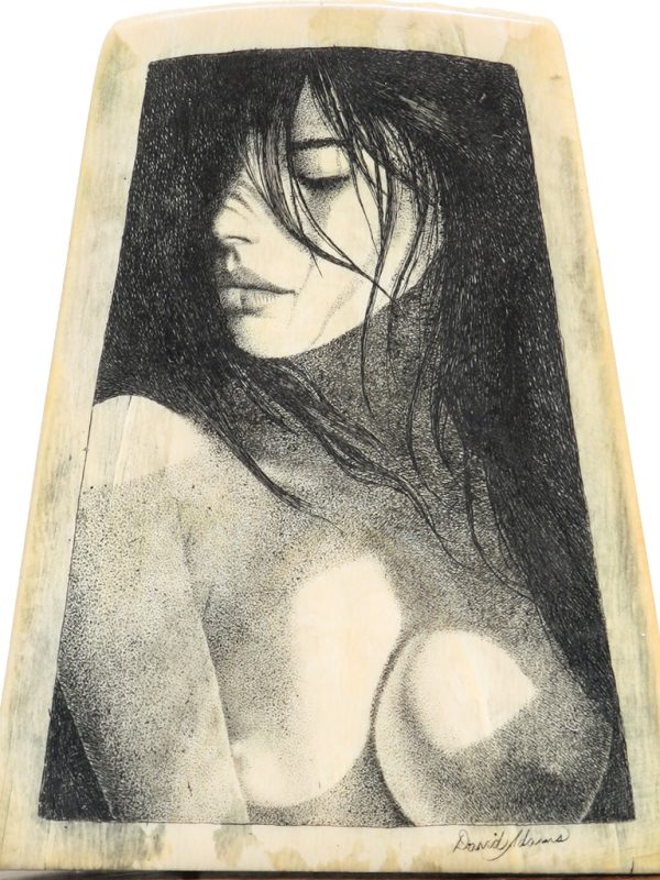 David Adams Scrimshaw - Portrait in Shadows
