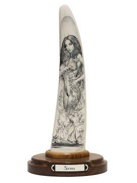 David Adams Scrimshaw - SIREN