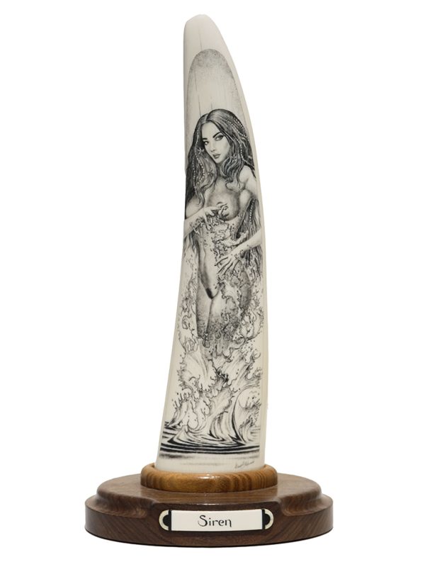 David Adams Scrimshaw - SIREN