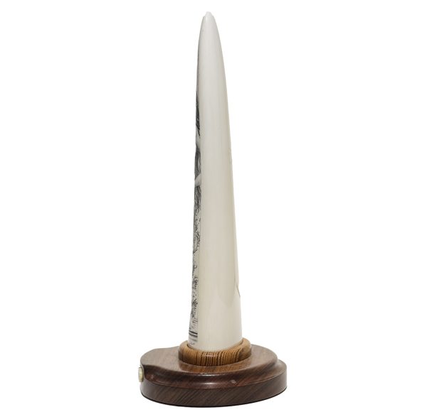 David Adams Scrimshaw - SIREN