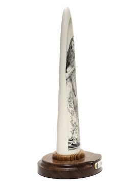 David Adams Scrimshaw - SIREN