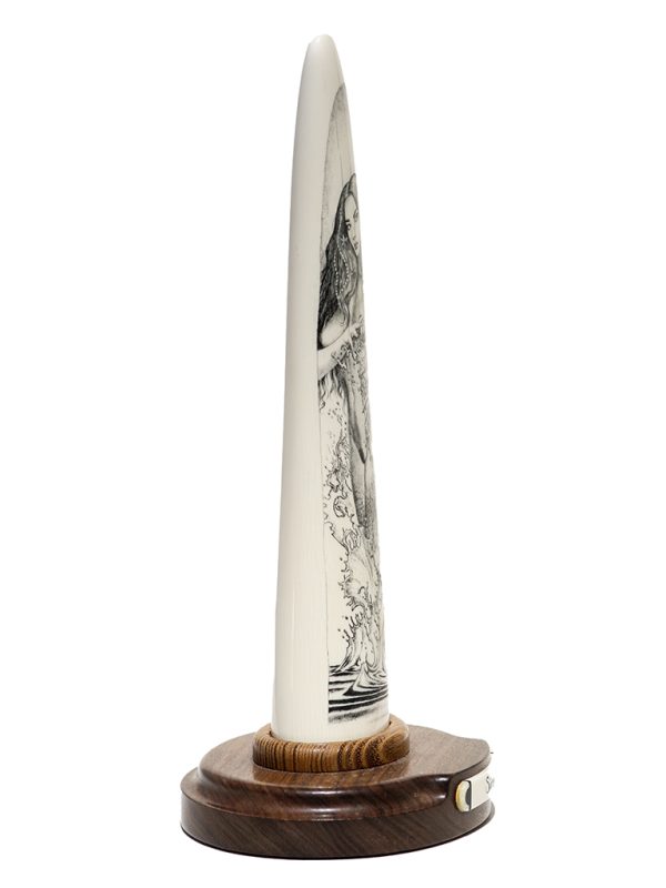 David Adams Scrimshaw - SIREN