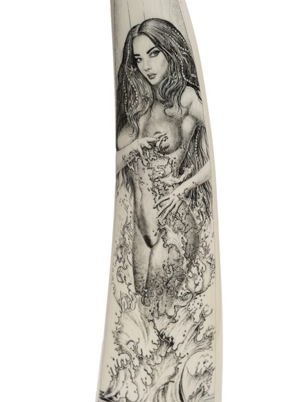 David Adams Scrimshaw - SIREN