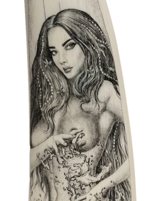 David Adams Scrimshaw - SIREN