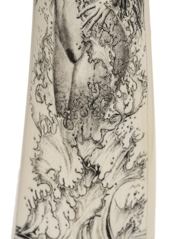 David Adams Scrimshaw - SIREN