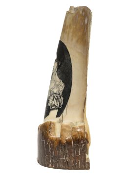 David Adams Scrimshaw - Demure Victorian Beauty
