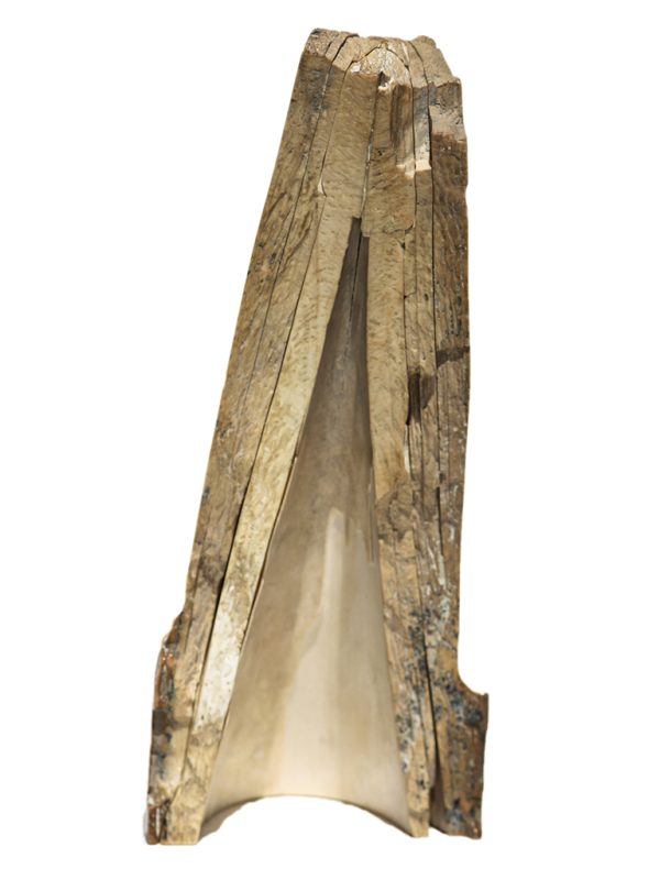 David Adams Scrimshaw - Demure Victorian Beauty