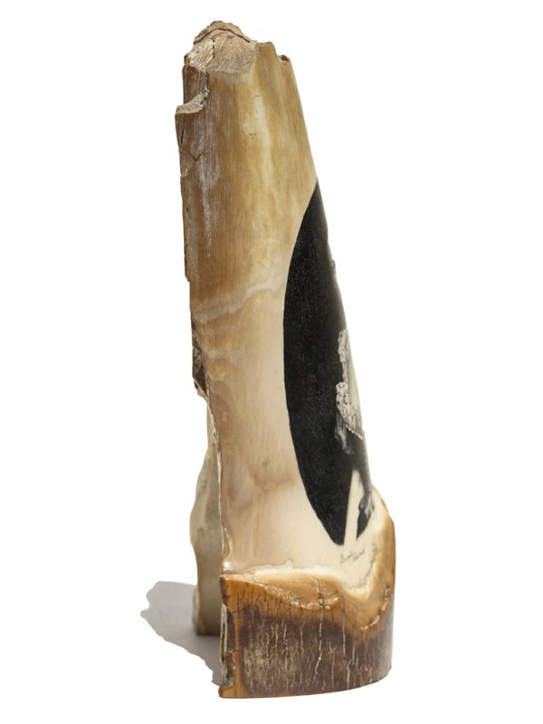 David Adams Scrimshaw - Demure Victorian Beauty