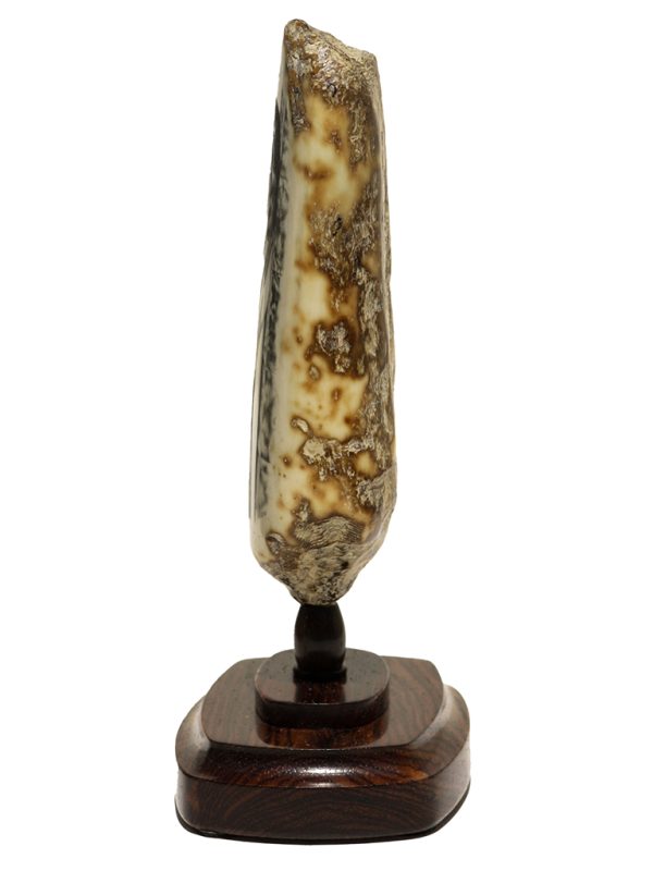 Karen Reno Scrimshaw - Come Hither Look
