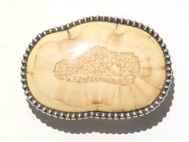Jenkins Design - Fossil Walrus Ivory Buckle