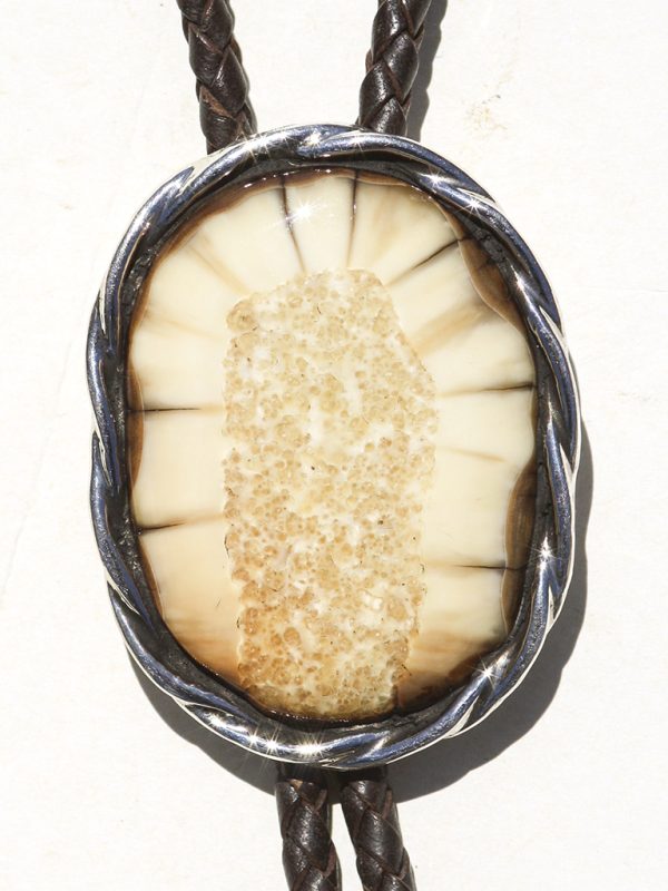 Jenkins Design - Fossil Walrus Ivory Bolo