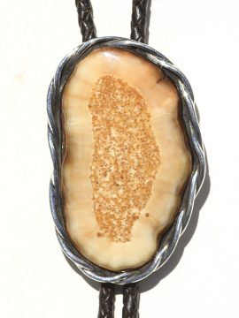Jenkins Design - Fossil Walrus Ivory Bolo