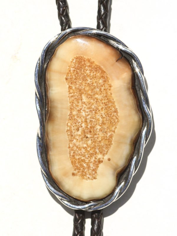 Jenkins Design - Fossil Walrus Ivory Bolo