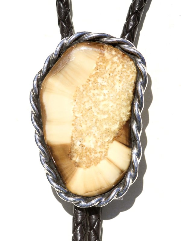 jenkins design - Fossil Walrus Ivory Bolo