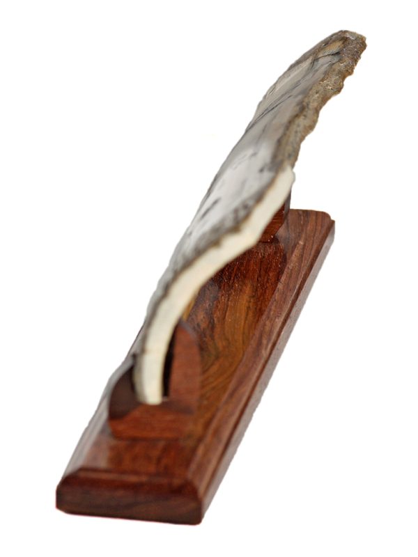 Jim Pauls Scrimshaw - At the Beach