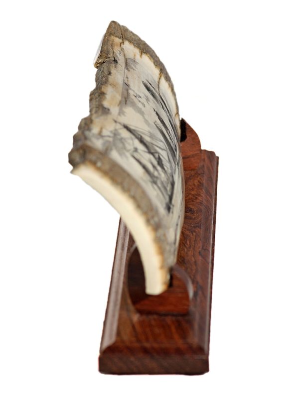 Jim Pauls Scrimshaw - At the Beach