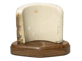 Ray Peters Scrimshaw - Escaping Whale