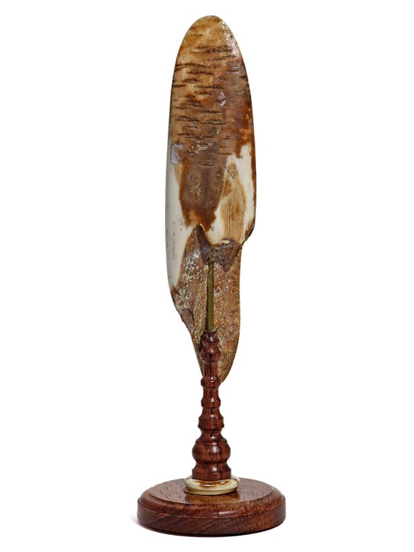 Gerry Dupont Scrimshaw - Whaler Drying Sails