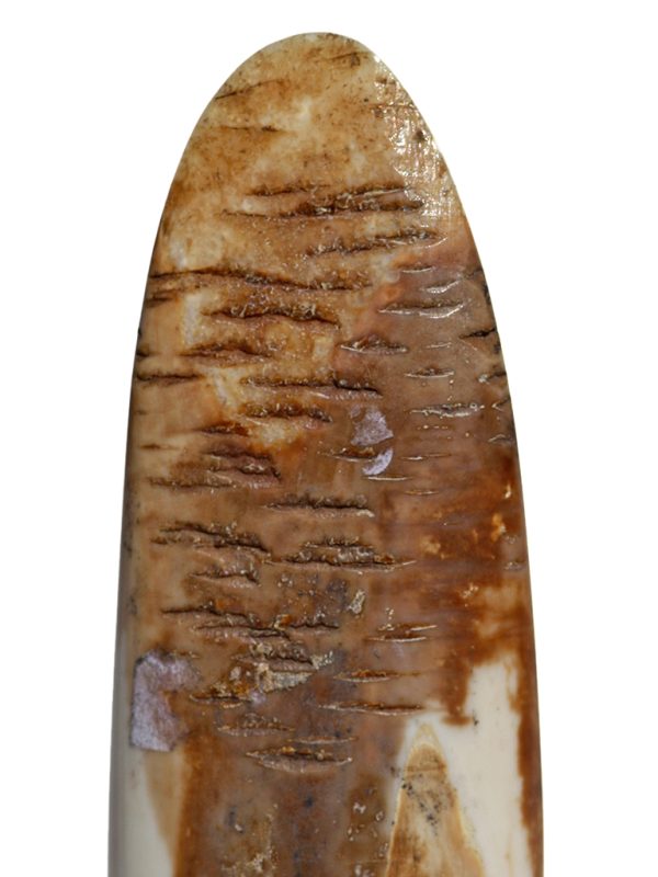 Gerry Dupont Scrimshaw - Whaler Drying Sails