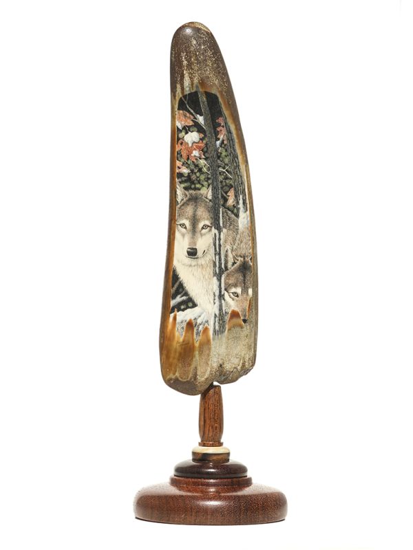 David Adams Scrimshaw - Autumn Wolf