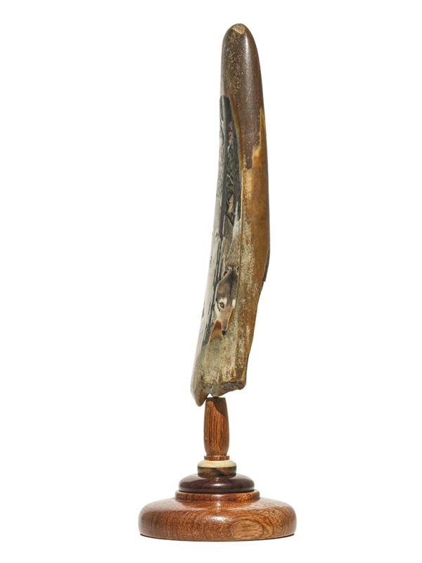 David Adams Scrimshaw - Autumn Wolf